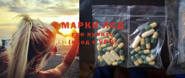 шишки Кодинск