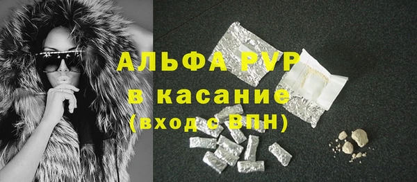 шишки Кодинск