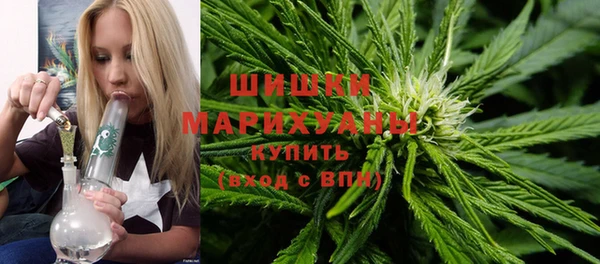дмт Козловка
