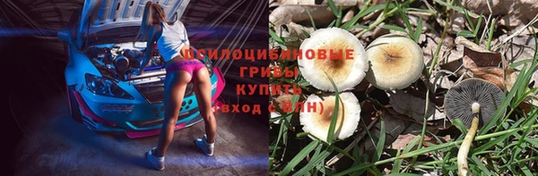 дмт Козловка