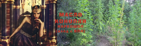 дмт Козловка