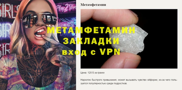 шишки Кодинск