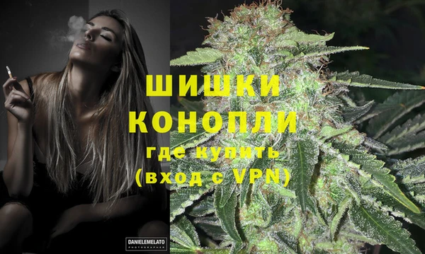шишки Кодинск