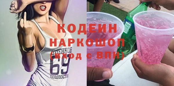 шишки Кодинск