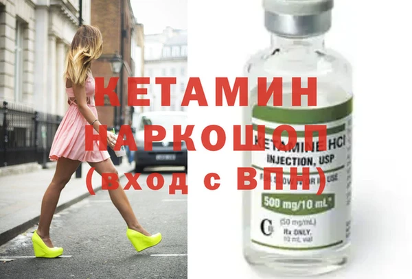 шишки Кодинск