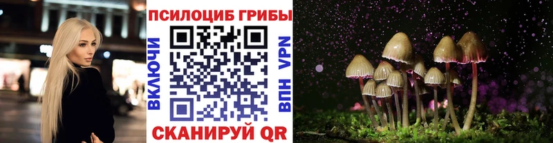 Псилоцибиновые грибы Cubensis  Арзамас 